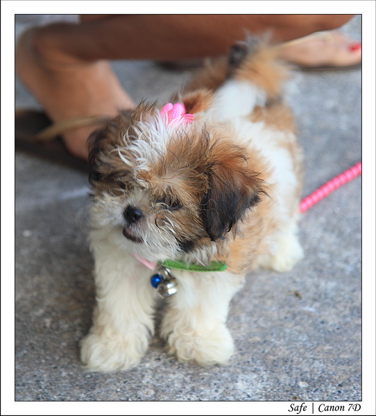 2012 - 07 - Boracay - 064